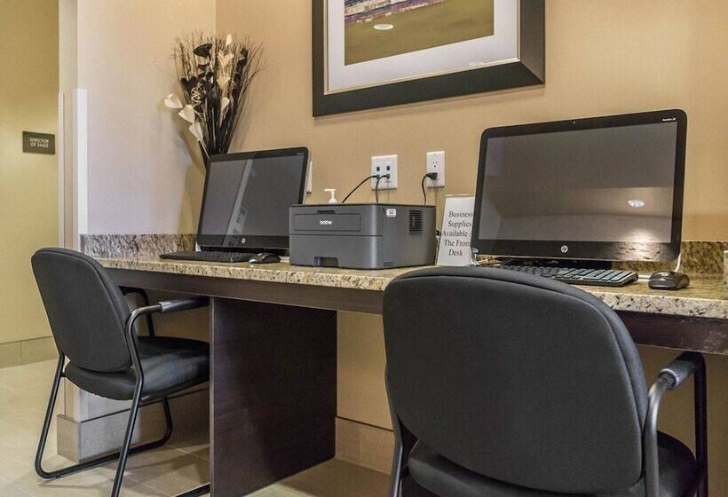 酒店 Comfort Inn & Suites Edmonton International Airport