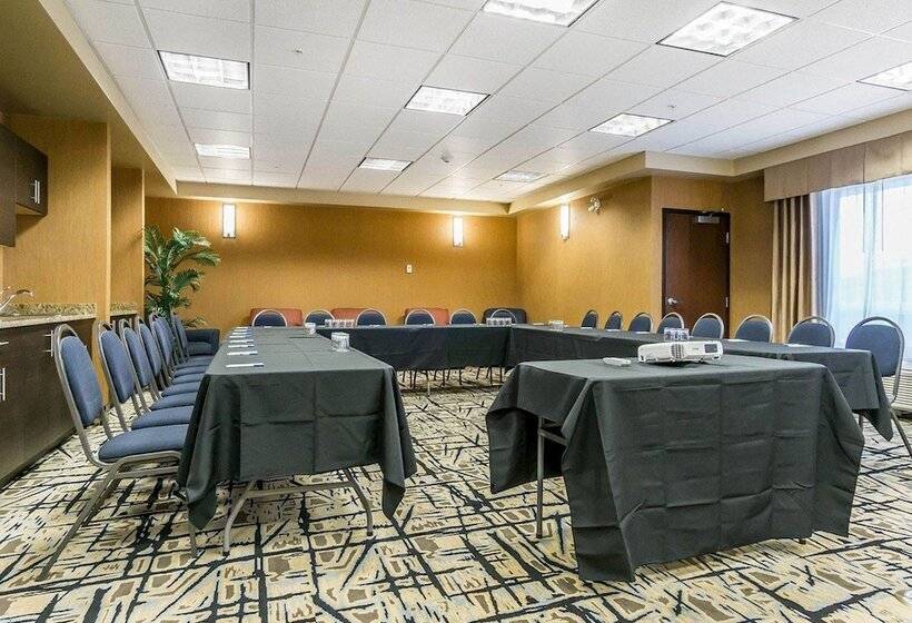 酒店 Comfort Inn & Suites Edmonton International Airport