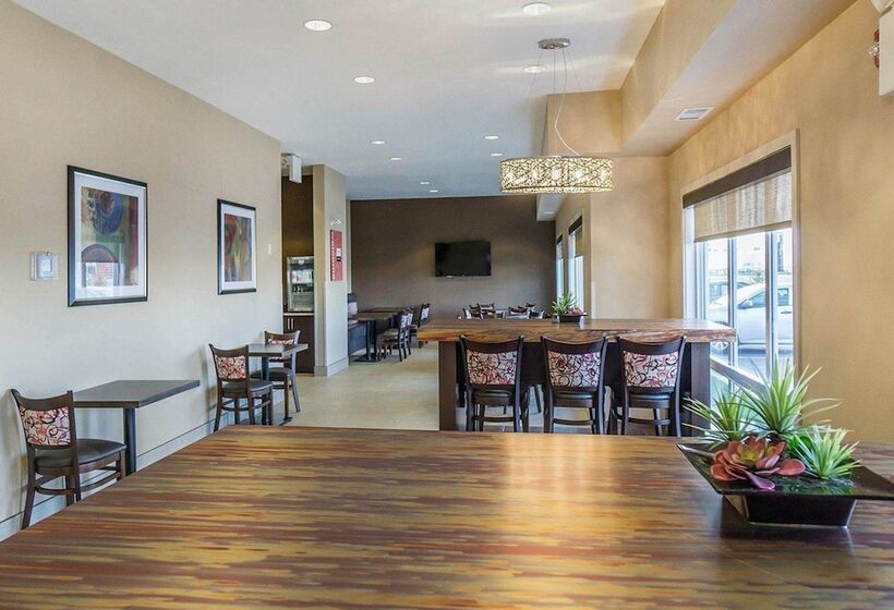 酒店 Comfort Inn & Suites Edmonton International Airport