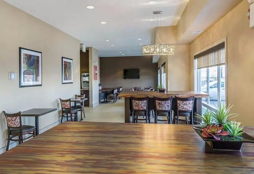 호텔 Comfort Inn & Suites Edmonton International Airport