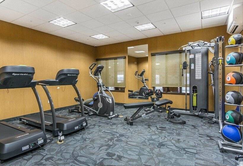 酒店 Comfort Inn & Suites Edmonton International Airport