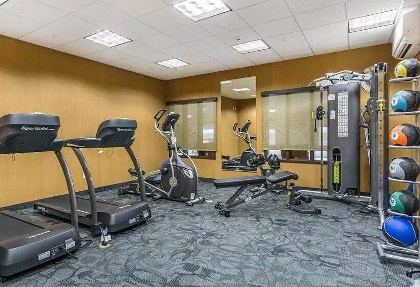 호텔 Comfort Inn & Suites Edmonton International Airport