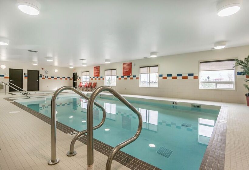 酒店 Comfort Inn & Suites Edmonton International Airport