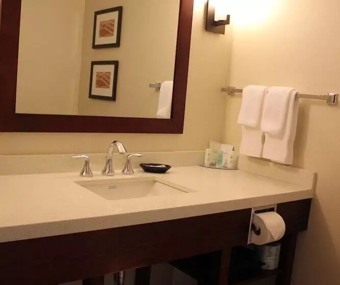 호텔 Comfort Inn & Suites Edmonton International Airport