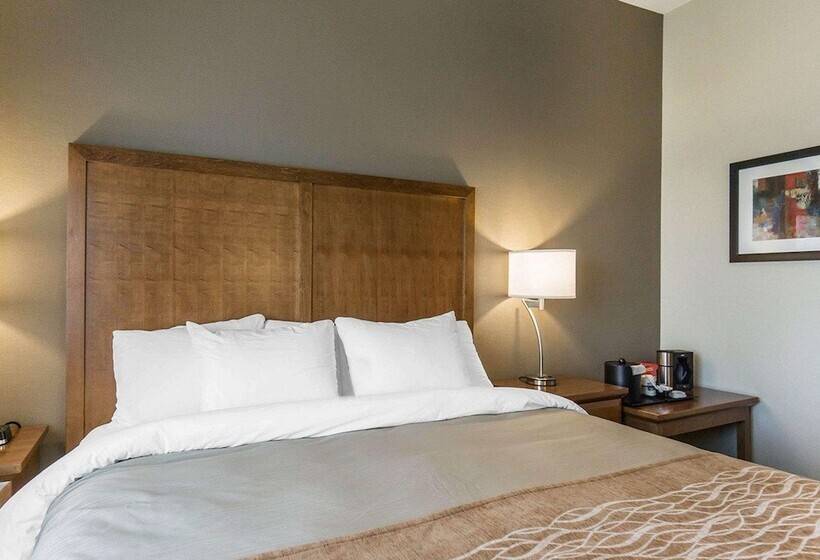 酒店 Comfort Inn & Suites Edmonton International Airport