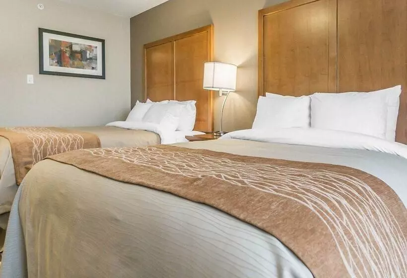 호텔 Comfort Inn & Suites Edmonton International Airport
