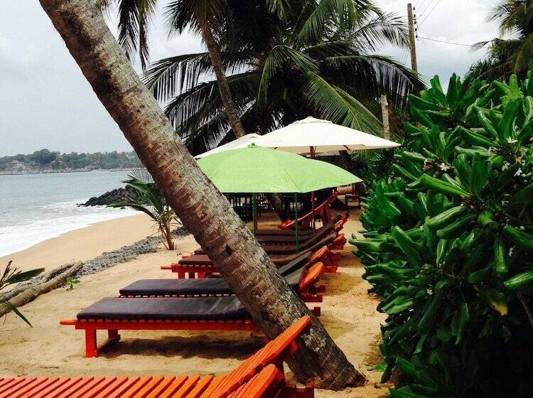 בית מלון כפרי Coppenrath