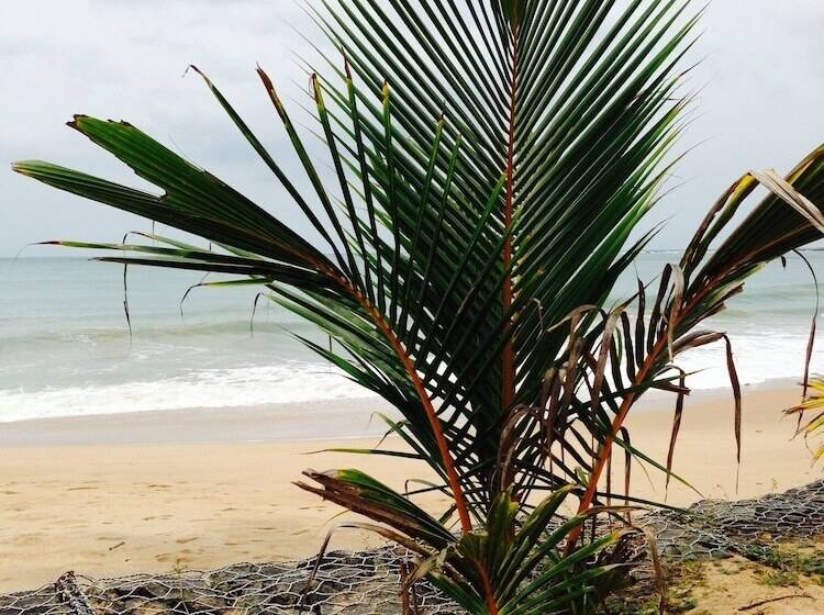 בית מלון כפרי Coppenrath