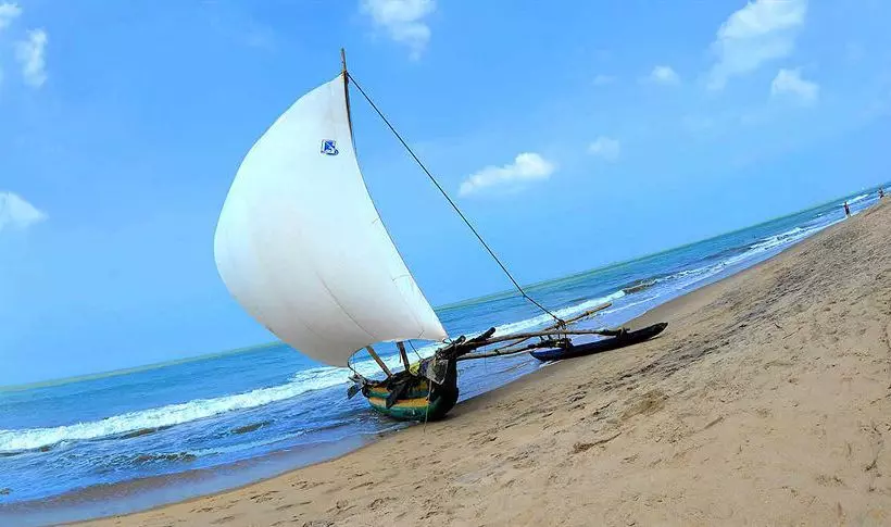 בית מלון כפרי Don S Beach