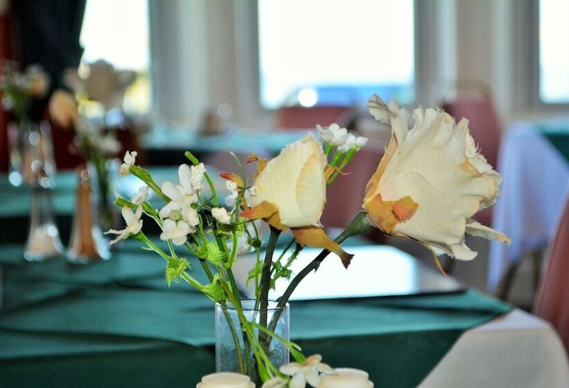 酒店 Four Saints Brig Y Don