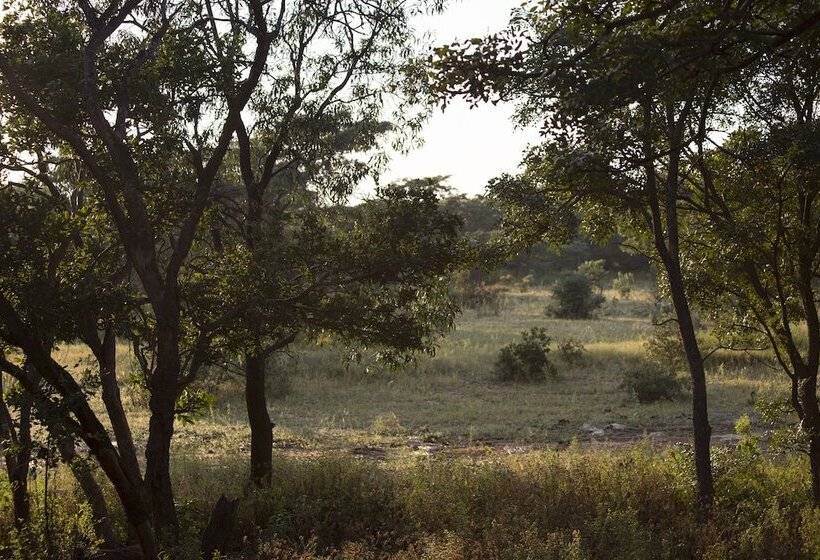 בית מלון כפרי Honeyguide Ranger Camp