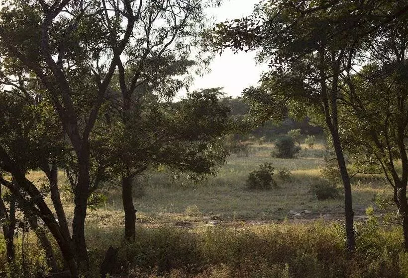 فندق Honeyguide Ranger Camp