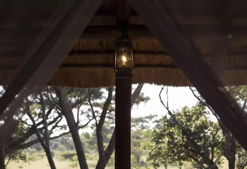 فندق Honeyguide Ranger Camp