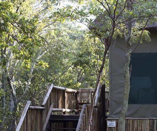 בית מלון כפרי Honeyguide Ranger Camp