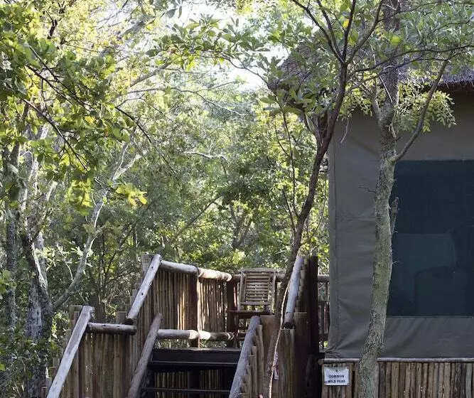 فندق Honeyguide Ranger Camp