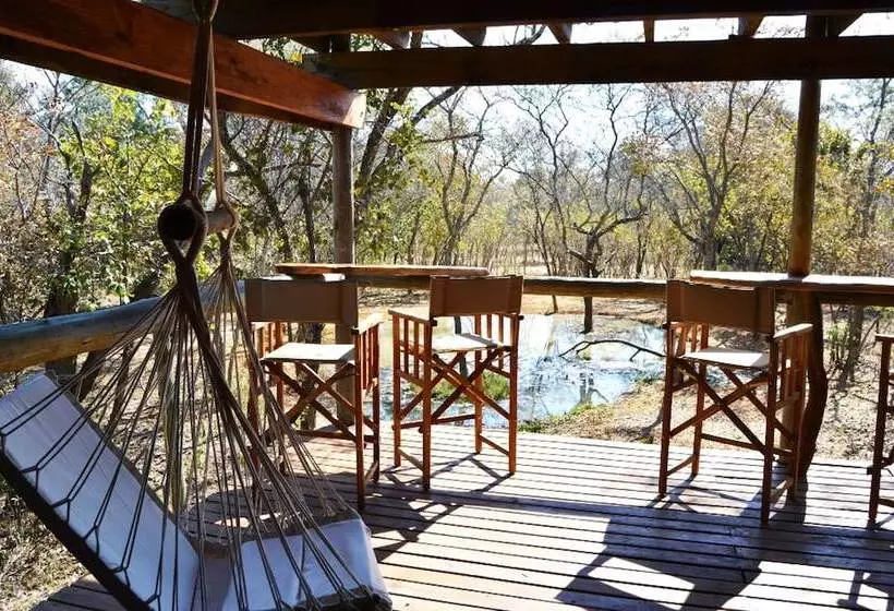 فندق Honeyguide Ranger Camp