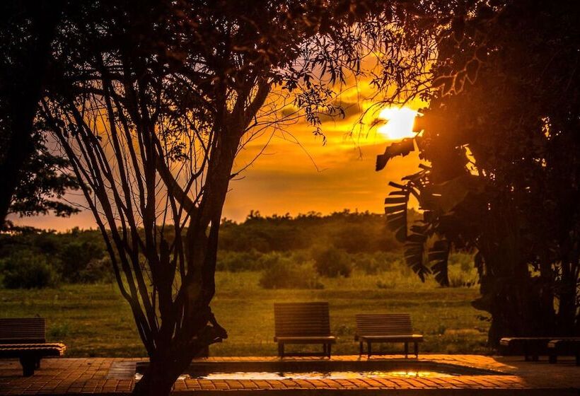 בית מלון כפרי Honeyguide Ranger Camp