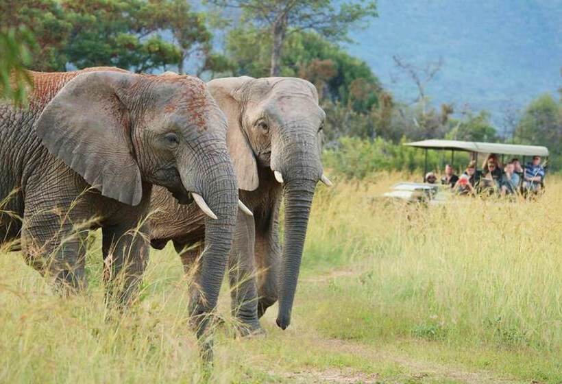 בית מלון כפרי Honeyguide Ranger Camp