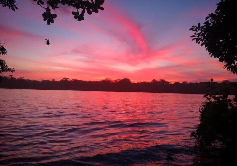 هتل Miss Junies Lodge