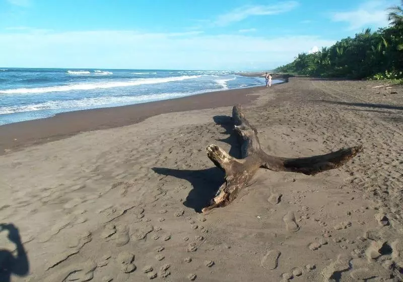 Hotel Miss Junies Lodge