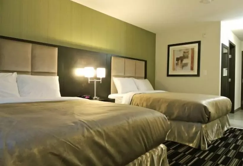 ホテル Western Star Inn & Suites Esterhazy