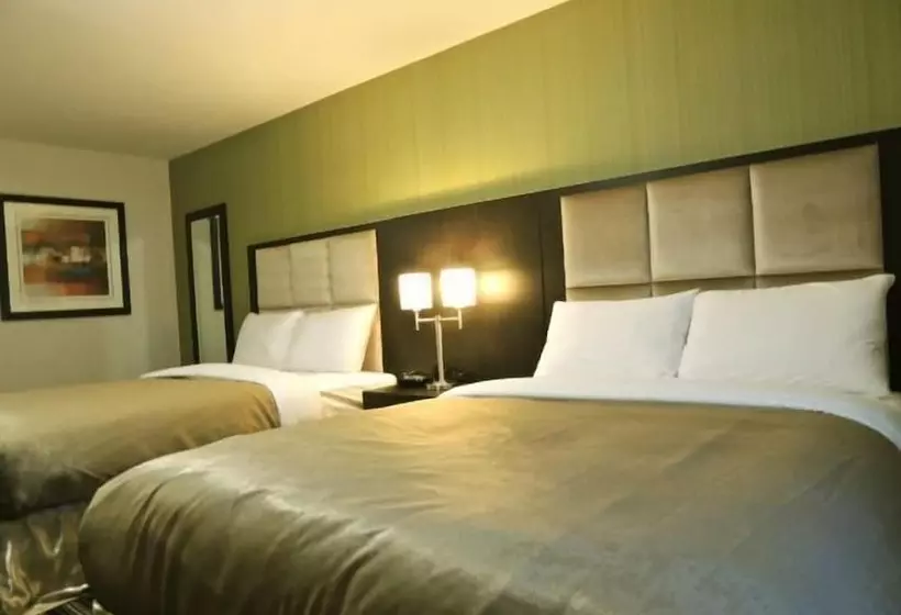 ホテル Western Star Inn & Suites Esterhazy