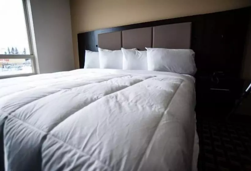 ホテル Western Star Inn & Suites Esterhazy