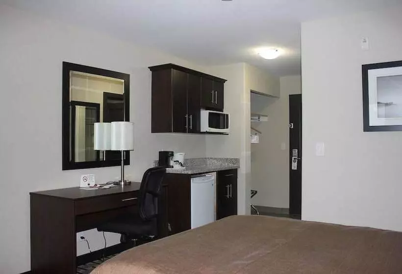 ホテル Western Star Inn & Suites Esterhazy