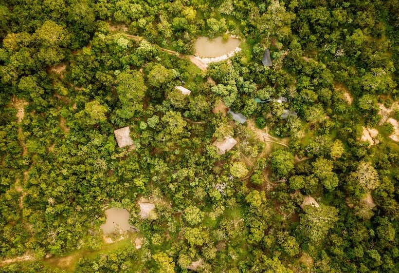 فندق Yala Safari Camping