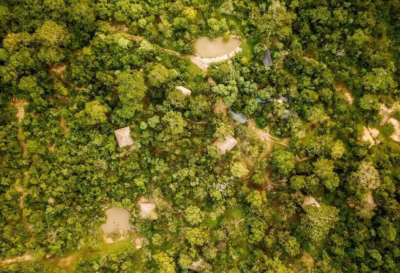 فندق Yala Safari Camping