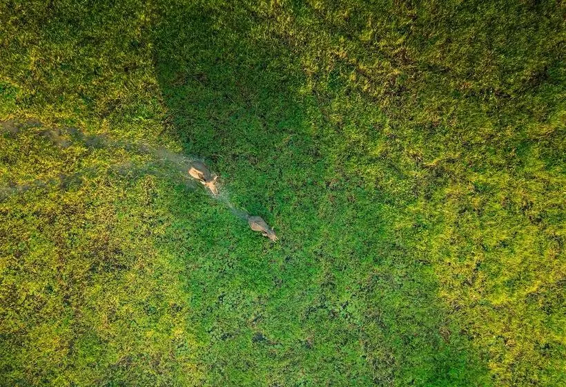 فندق Yala Safari Camping