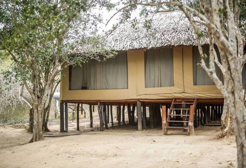 فندق Yala Safari Camping
