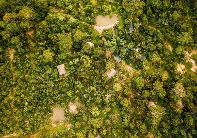 ホテル Yala Safari Camping