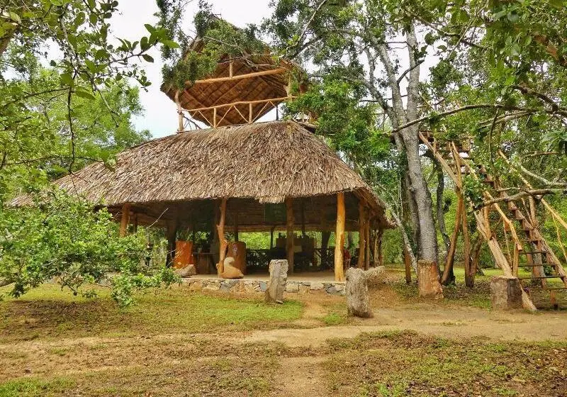 ホテル Yala Safari Camping