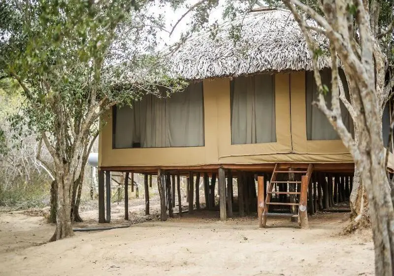 ホテル Yala Safari Camping