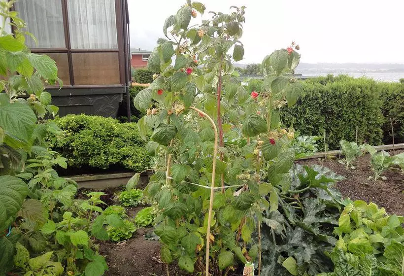 펜션 Nicara Lakeside Lodge