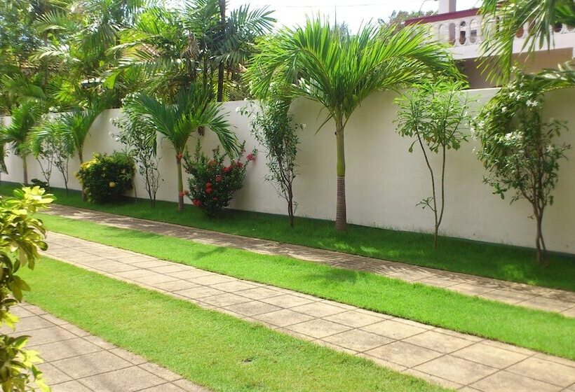 膳宿费 Ocean View Guesthouse