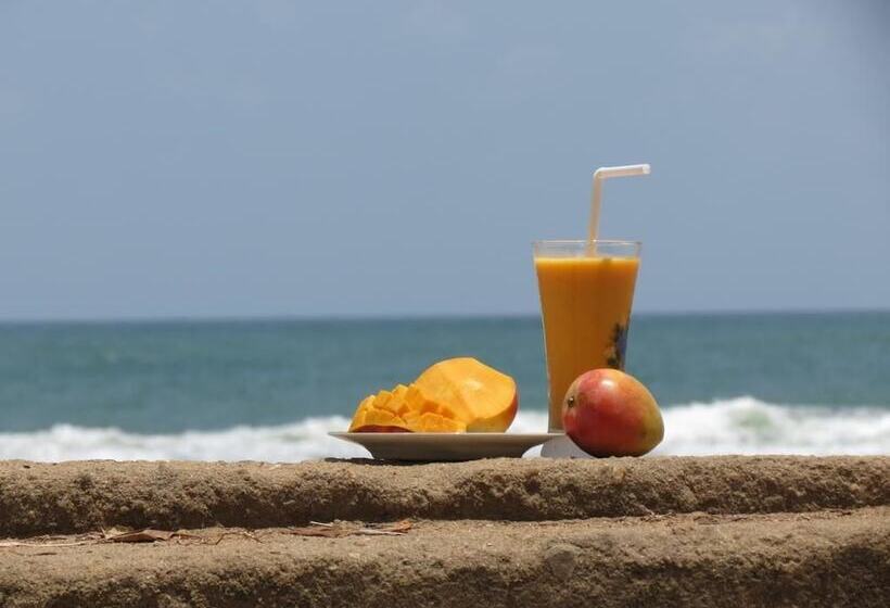 膳宿费 Ocean View Guesthouse