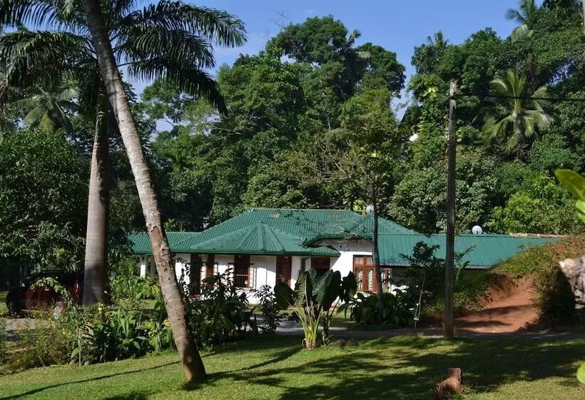 Sweet Cinnamon Kandy