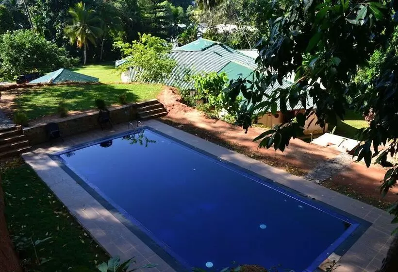 Sweet Cinnamon Kandy