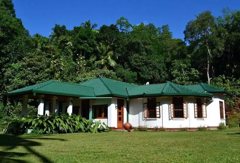 Sweet Cinnamon Kandy