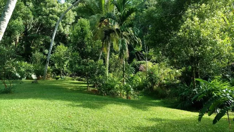 Sweet Cinnamon Kandy