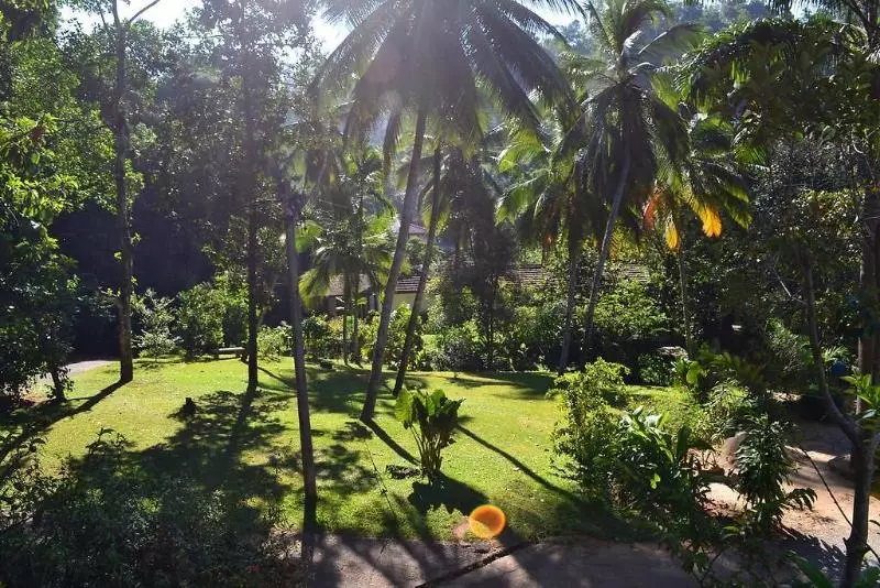 Sweet Cinnamon Kandy