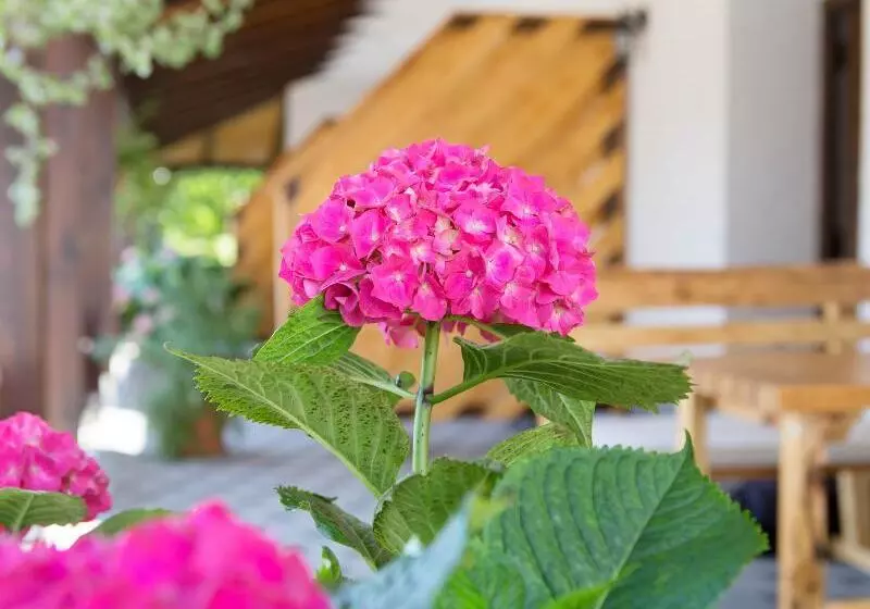 Hotelli Apartments Lake Plitvice