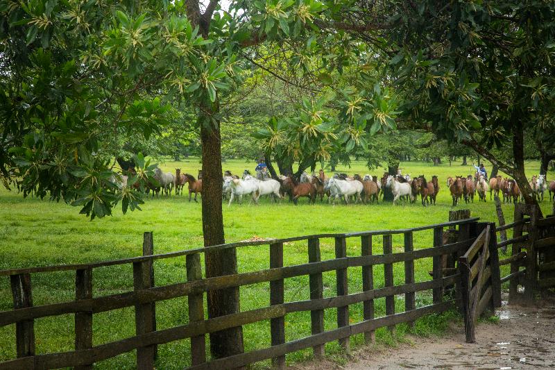 فندق Hato San Pablo