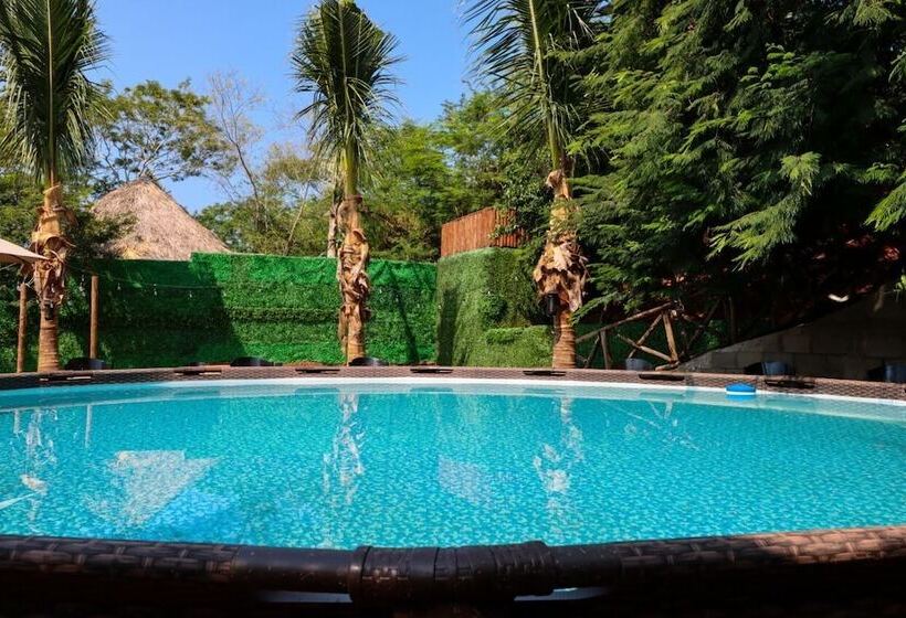 Отель Palm Valley Cabins