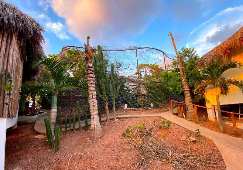 Отель Palm Valley Cabins