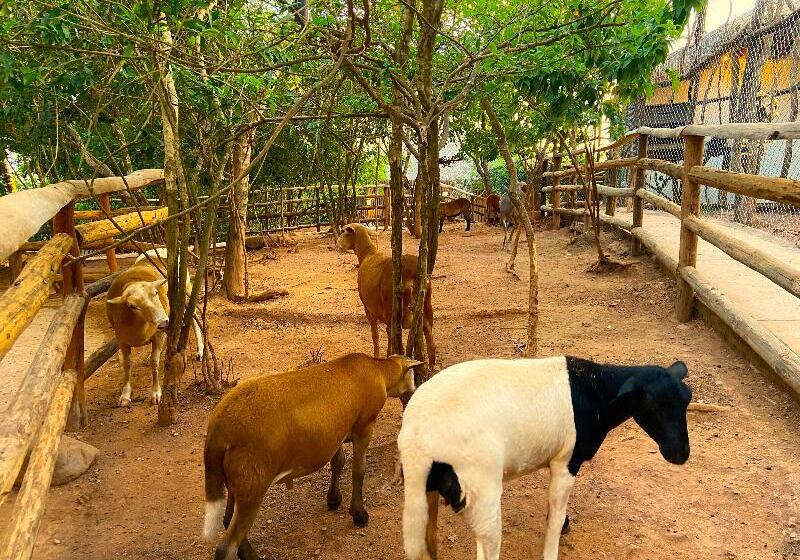 Отель Palm Valley Cabins