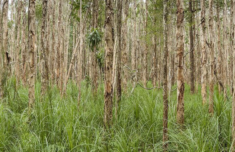 住宿加早餐  Abelia House