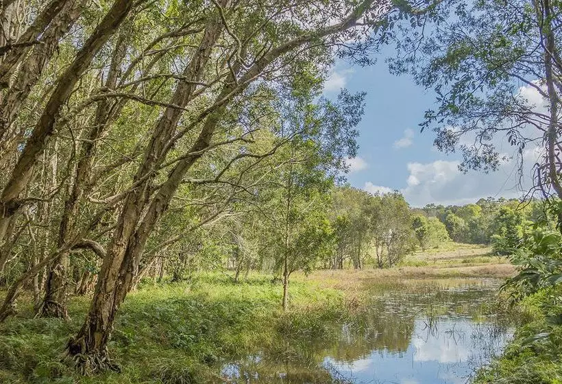 تختخواب و صبحانه Abelia House